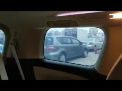 Smart film for Car