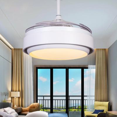 China ceiling fan remote control light invisible retractable 42 inch retro fan leaf fan with light(WH-VLL-08) for sale