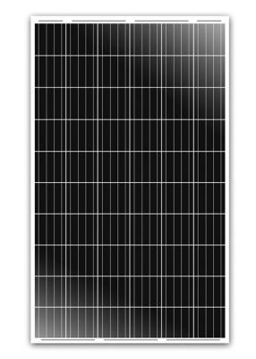 China polycrystalline  60-cell/4BB  255W for sale