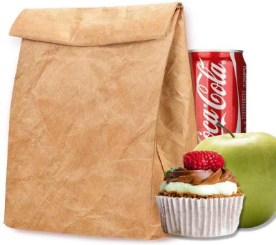 中国 Custom Reusable Waterproof Eco Friendly Children Tyvek Paper Insulated Lunch Bags For Kids School 販売のため