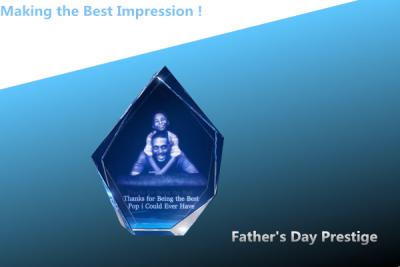 China blank crystal prestige award/3D crystal trophy/father's day gift/blank crystal prestige for sale