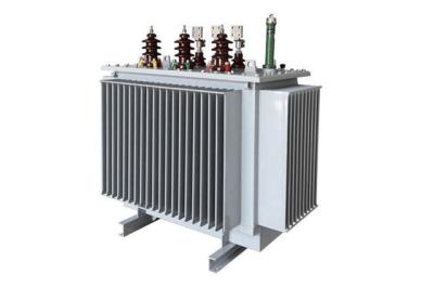 China Oil Immersed Type Distribution Transformer IP00 To IP65 for sale