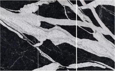 China La losa negra mayor del mármol del color de Versace pulió encimeras de la piedra de la losa de las baldosas del granito 1200*2700*6m m en venta