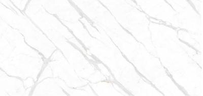 China Renewable Saint Calacatta White Slab Tile For Office Frost Resistant for sale
