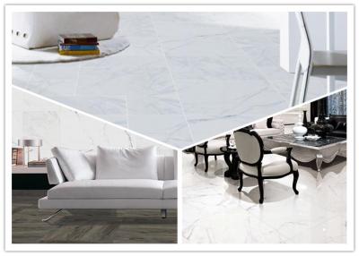 China Arabescato Corchia White Marble Like Porcelain Tile 600x1200 Mm Size Ceramic Kitchen Floor Tile for sale