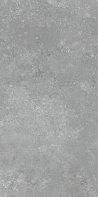 China Binnen Openluchtporseleintegel/de Vloertegel 60*120cm van het Cementontwerp Te koop