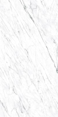 China Tejas de mármol blancas Jazz White Ceramic Tiles de Carrara del cuerpo completo de la baldosa de la porcelana de la sala de estar del proveedor de Foshan el 120*240cm en venta