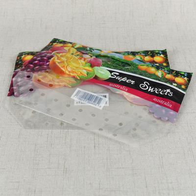 China Fresh Fruit Cover Frozen Food Plastic Vegetables Protection Bags Packaging with Air Holes for sale