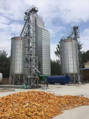Chine 300T par dessiccateur mélangé d'écoulement de maïs continu de jour à vendre