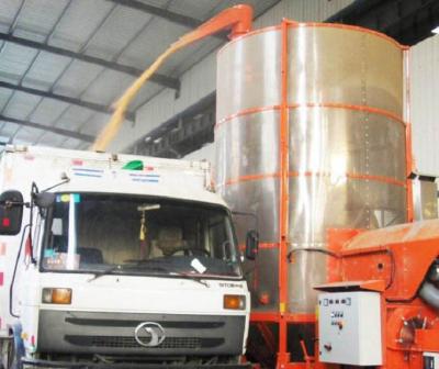 China Combustible diesel de Ton Per Batch de la tecnología del secador móvil italiano 19 del maíz en venta