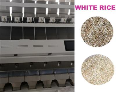 China Canales de la máquina 448 del clasificador del color del CCD del arroz blanco 7 canales inclinados en venta