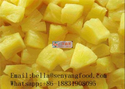 China Canned pineapple in syrup, slice/chunk/pieces for sale
