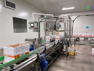 China Stainless Steel Food Packaging Line For Strawberry Powder Bulk Packing for sale