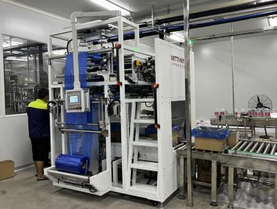 China Cadena de producción de la máquina de rellenar de la margarina automática/de la margarina para la industria alimentaria en venta