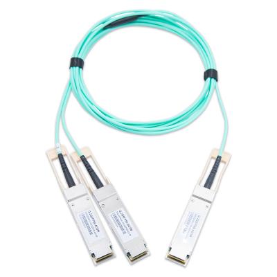 China 200G QSFP56 To 2x100G QSFP56 Breakout Active Optical Cable 850nm 0-100m Length OEM/ODM à venda