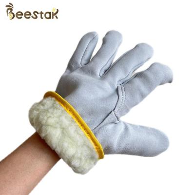 China Durable White Thick Sheepskin Bee Gloves Beekeeping In Winter Warm Beekeepers for sale