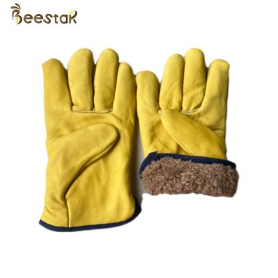 China Thick Fleece Suede Sheepskin Winter Beekeeping Gloves Yellow For Beekeeper for sale