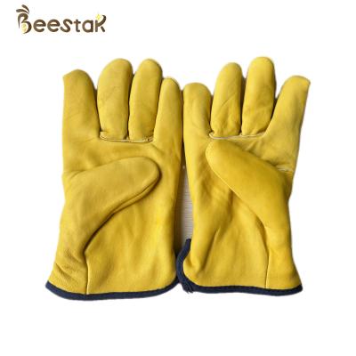China New Style Thick Warm Gloves Yellow Color For Beekeeping To Protect Beekeepers for sale