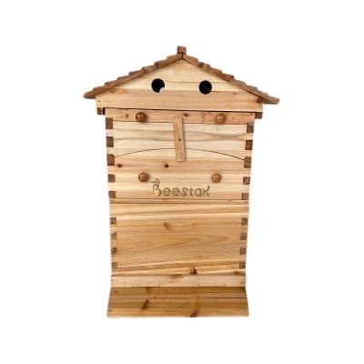 China Chinese Fir Wood Auto Beehive Wax-Coated Unassembled Bee Hives Honey Flow Automatic for sale