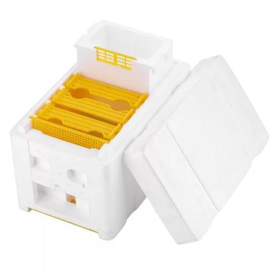 China Single Layer Foam Bee Hive Equipment Mating Breeding Box Beekeeping Queen Rearing for sale