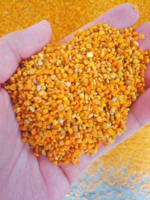 中国 栄養満点の新鮮な生蜂花粉を混ぜて大粒 販売のため