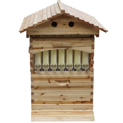China Langstroth Flow Hive Beehive with 7 Plastic Frames Beehives and Frame for Beekeeping for sale