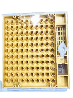 China Queen Rearing Cupkit Box Queen Rearing System Cupularve For Beekeeping for sale