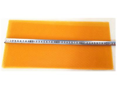 중국 283mm 까맣고와 노란 색깔의 넓은 플라스틱 기초 장 꿀벌 꿀벌통 장비 판매용