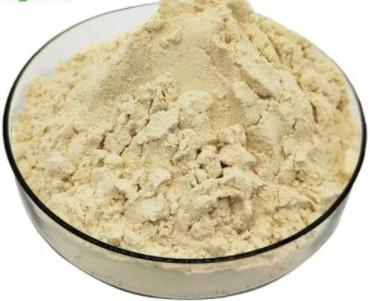 Cina Jelly Lyophilized Powder reale fresca organica pura 5,5% 10-HDA Honey Bee Products in vendita