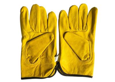 China Beekeeper Equipment Hand Protect Sheepskin White or Yellow Beekeeping Gloves Without Cuff for sale
