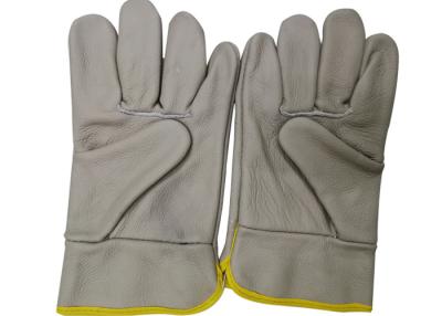 China Agriculture Cowhide beekeeping Gloves Without Cuff for beekeeping work use for sale
