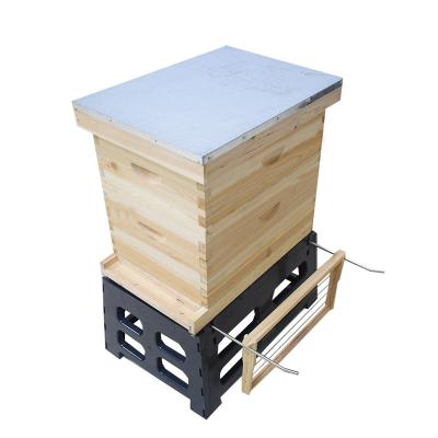 China Apiculture 8 frame 10 frame Bee Hive Holder for sale
