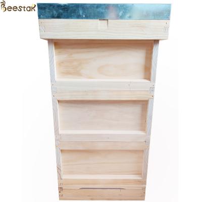 China Bee Hive Equipment European Style Wooden Beehive Beekeeping Apiculture Wooden Beehive for sale