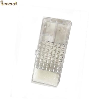 China Transparent Clear Queen Bee Cage With Foam Queen Introduction Cage for Beekeeping for sale