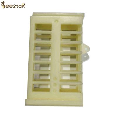 China Beekeeper Plastic Queen Cage Queen Rearing Beekeeping Multifunctional Rearing System for sale