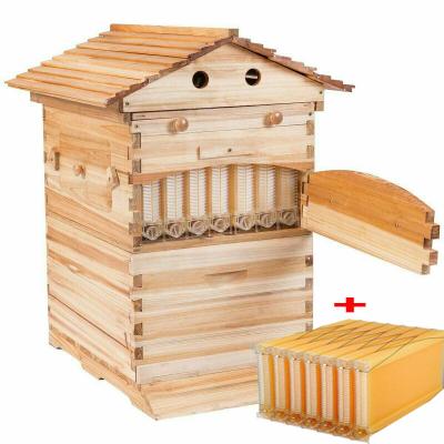 China Nicht zusammengebaute Langstroth 7 Kunststoffrahmen Automatischer Honigfluss Bienenstock Bienenstock zu verkaufen