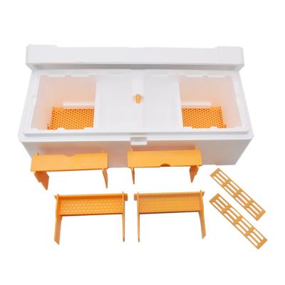 China High Strength EPS Double Nuc Boxes Polystyrene Two Bee Queen Rearing Mating Nucs for sale