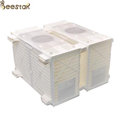 China Beehive Equipment Plastic Bee Bus Package Bee Installation Bee Cage for sale