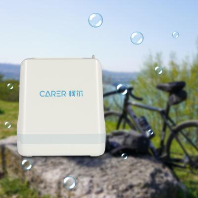 China Portable Home Oxygen Concentrator 93% Purity 1 - 5 Gear For Travelling Use for sale