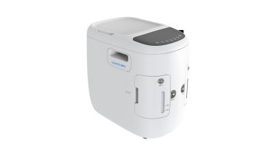 China Dual Outlet 10L Portable O2 Concentrator For Home Care for sale