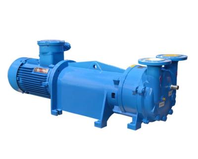 China 2BV-5110  2BV-5110 Water Ring Vacuum Pump Vertical Type CNC for sale