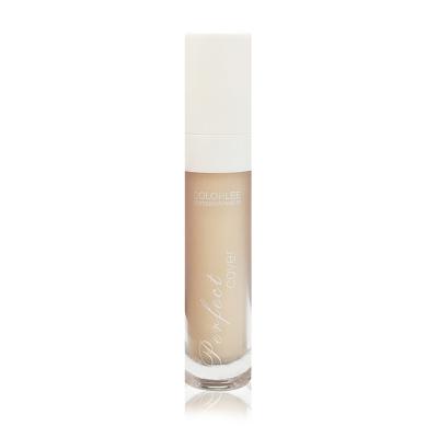 China 9ML Makeup Liquid Foundation / Concealer High Definition ISO 22716 for sale