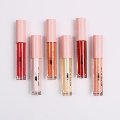 China Super Lustrous Shiny Glitter Lip Gloss 6 Piece Non Sticky Pearl Finishes for sale