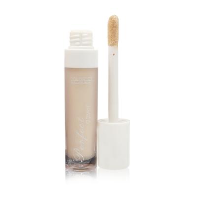 China Lightweight Makeup Oil Free Foundation , Full Coverage Concealer For Dry Skin for sale