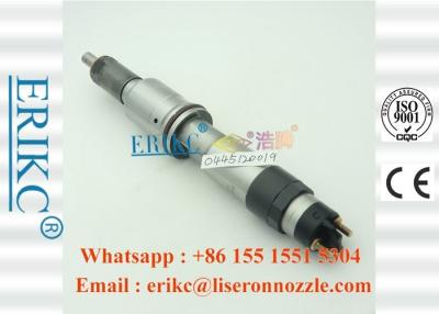 China ERIKC 0445120019 Bosch Truck Injection 0 445 120 019 Bico Fuel Injector Assembly 0445 120 019 for Renault for sale