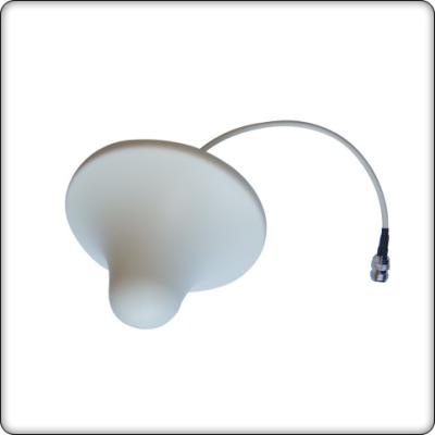 China 2700MHz 3dBi Indoor Omni Ceiling Antenna N-F Connector for sale