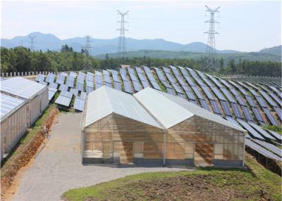 China High Density Greenhouse Solar System Economical Planting Hot Dip Galvanized Steel Structure for sale