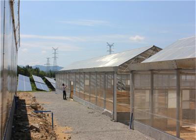 중국 지붕에 의하여 거치되는 온실 태양계 광전지 발전소 농업 작물 판매용