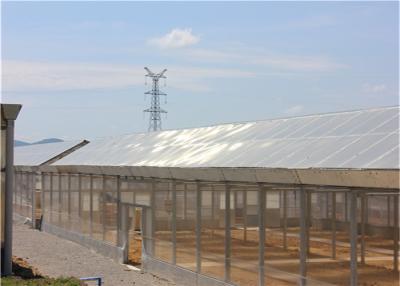 China BIPV Greenhouse Solar System 500KW Energy Efficient Film Cover Custom Depth for sale