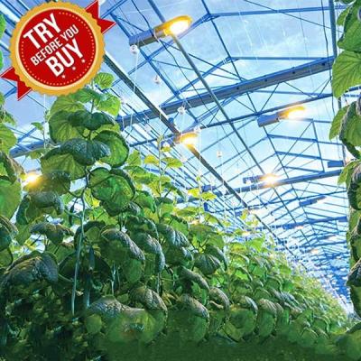 China CE Steel Frame Mounting Winter Greenhouse Solar System Tin Film Module Support Structure For Green Space for sale